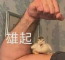 人形机器人第一股腰斩 王自如两条微博道出科技股残酷现实