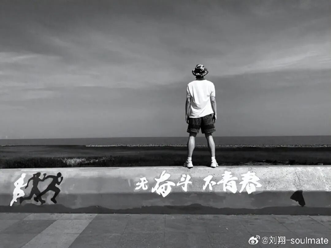 刘翔与姚明,为何活成了两种风向?当姚明还是王治郅,刘翔应当自选